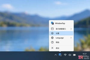 WindowTop中文设置方法及操作步骤详解
