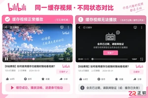 哔哩哔哩大会员过期后缓存视频还能看吗
