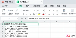 WPS 表格怎么导入 CSV 文件数据