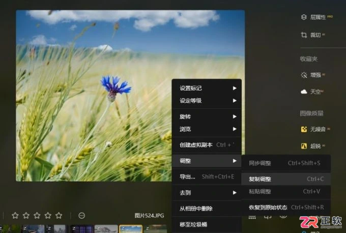 Luminar Neo图片清晰化与批量处理指南