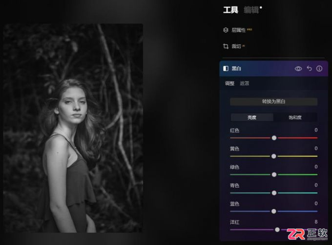 Luminar Neo制作高对比度黑白剪影与线性渐变压暗天空教程