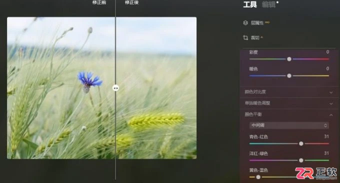 Luminar Neo色彩平衡详解：原理与分区域调色技巧