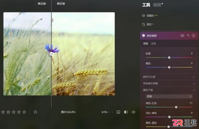 Luminar Neo色彩平衡详解：原理与分区域调色技巧