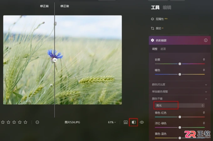 Luminar Neo色彩平衡详解：原理与分区域调色技巧