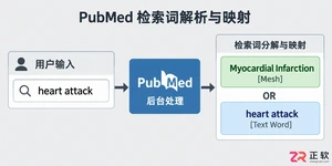 pubmed文献检索查全方法与实用检索技巧教程