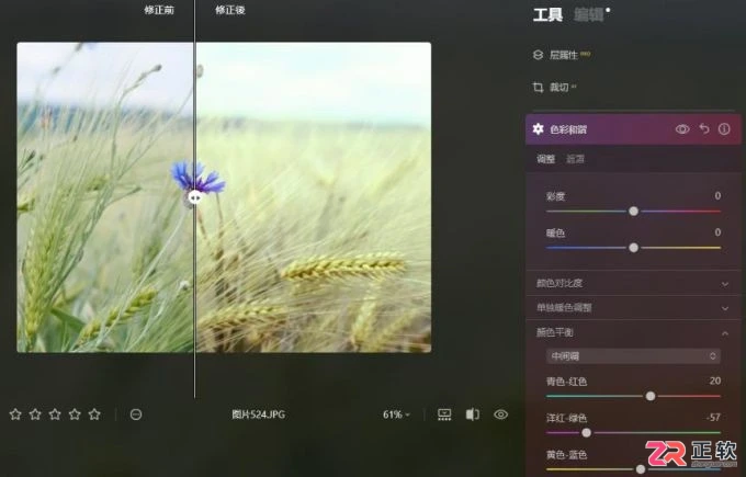 Luminar Neo色彩平衡详解：原理与分区域调色技巧