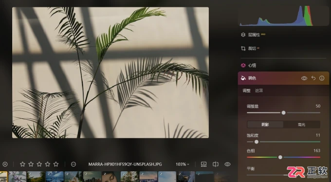 Luminar Neo去除紫边与修复阴影的实操指南