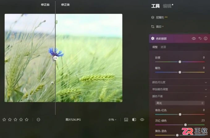 Luminar Neo色彩平衡详解：原理与分区域调色技巧