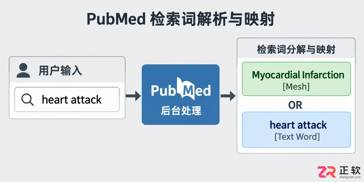 pubmed文献检索查全方法与实用检索技巧教程
