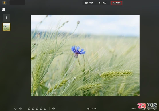 Luminar Neo色彩平衡详解：原理与分区域调色技巧
