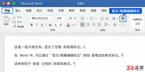 Mac版Word如何删除多余空白页