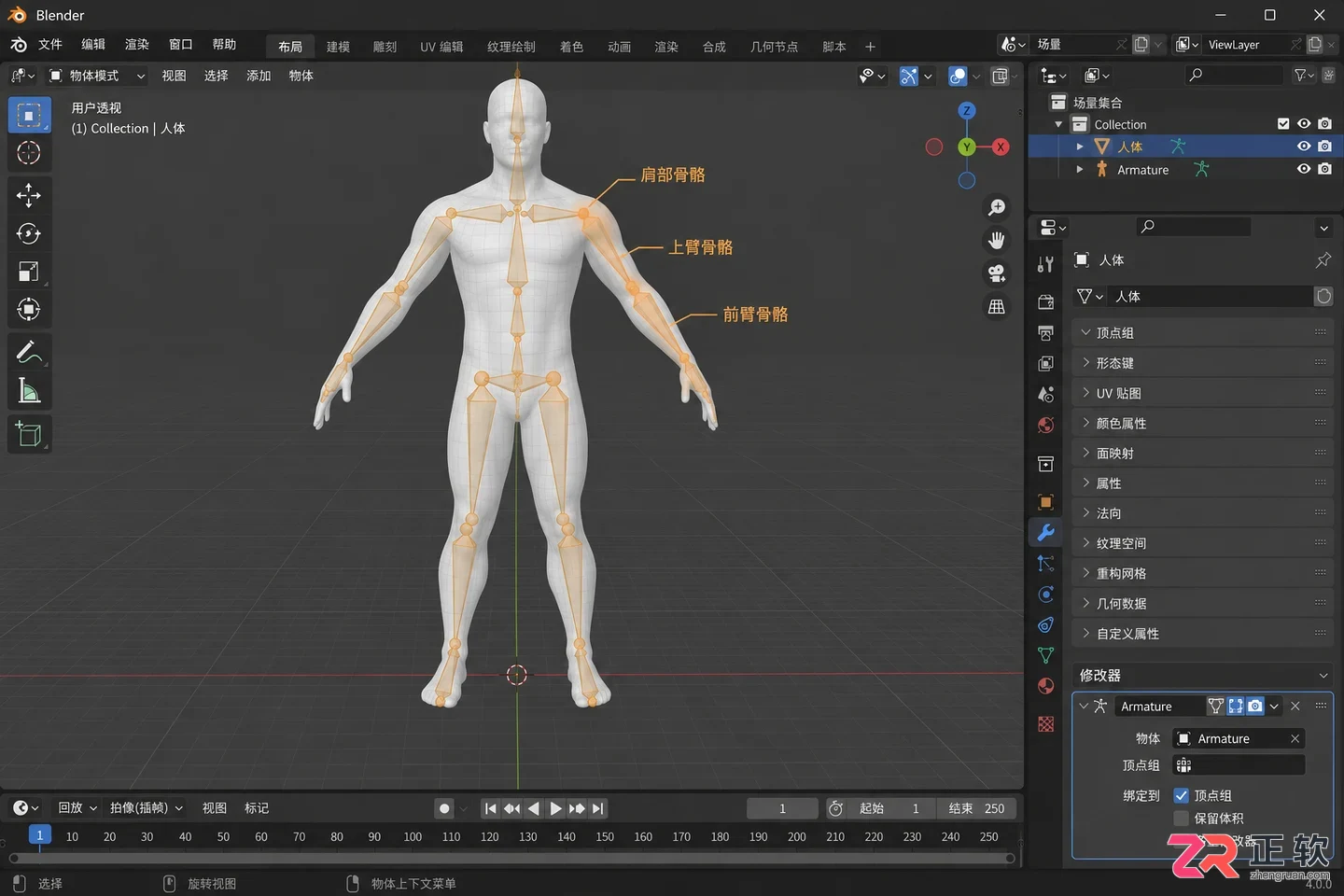 blender绑定骨骼手臂怎么连接模型操作教程