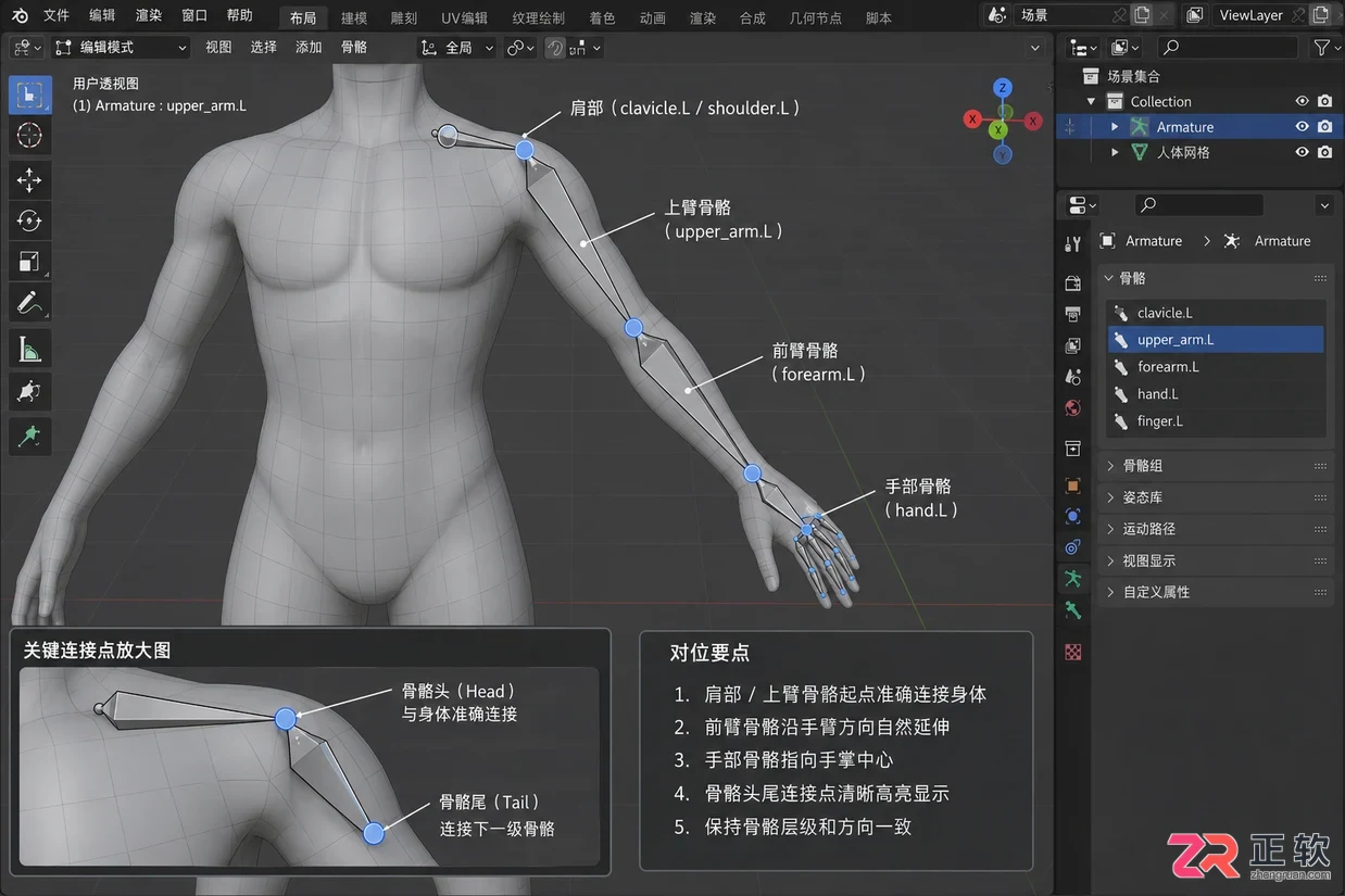blender绑定骨骼手臂怎么连接模型操作教程