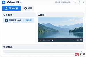 Videosrt Pro快捷键设置与使用教程