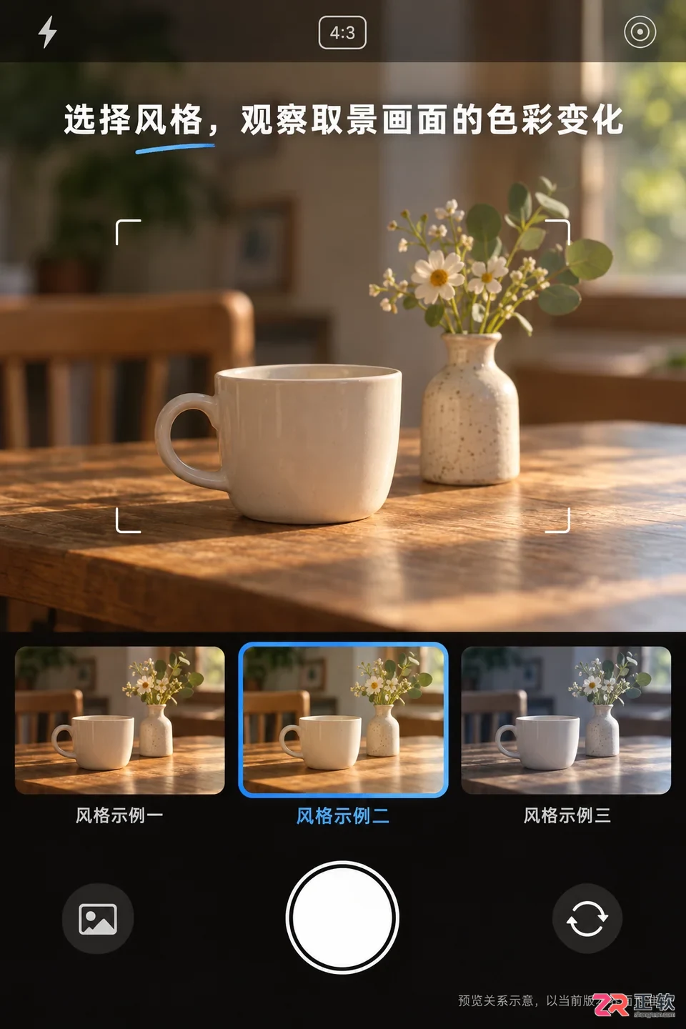 Swan Cam安装配置详细步骤与注意事项