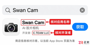 Swan Cam安装配置详细步骤与注意事项