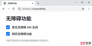pixpin无法打开网页怎么办实用解决教程