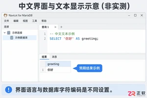 Navicat for MariaDB中文设置