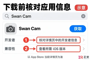 swan常见错误用法及解决方法实用教程