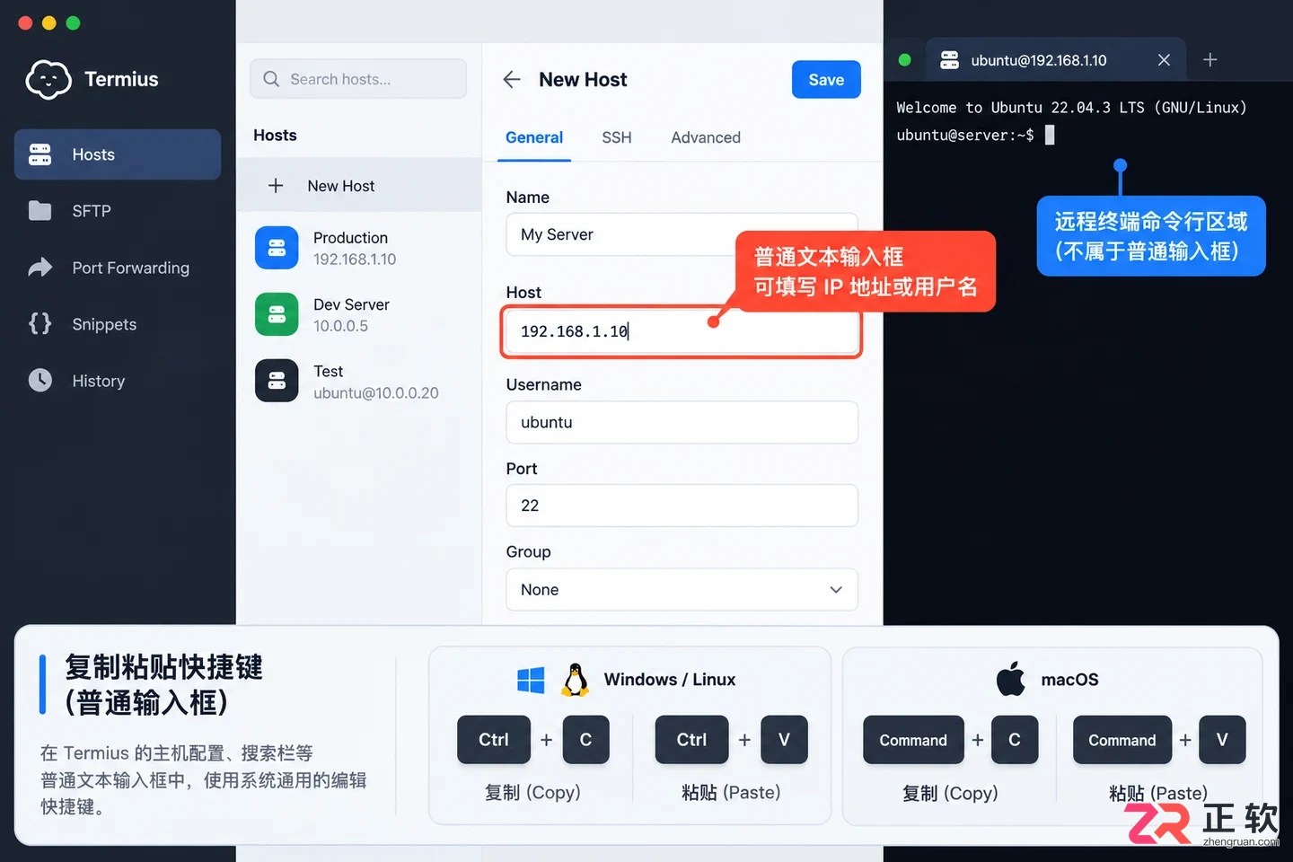 termius怎么复制粘贴快捷键操作教程