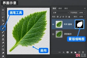 如何用Photoshop图层蒙版精细调整抠图效果