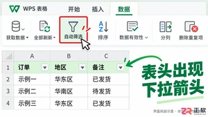 WPSOffice2024开启文本筛选实现关键词数据过滤