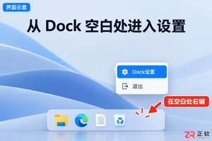 bitdock中文设置方法详细操作教程