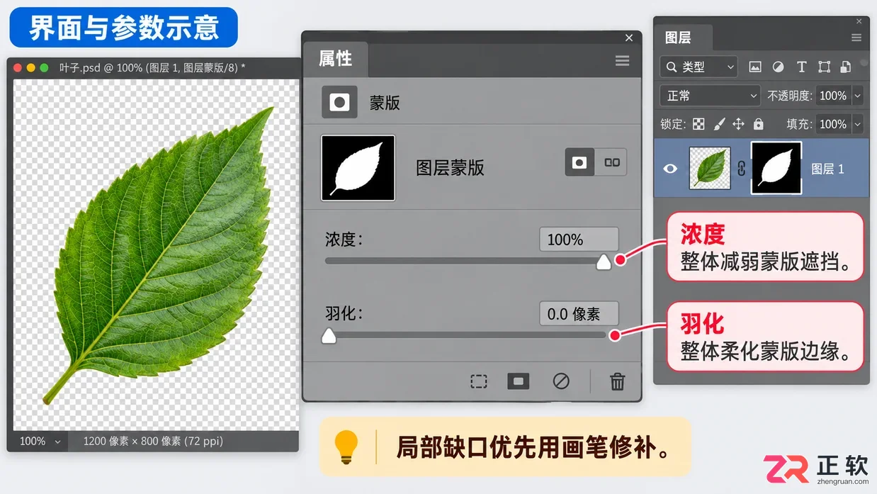 如何用Photoshop图层蒙版精细调整抠图效果
