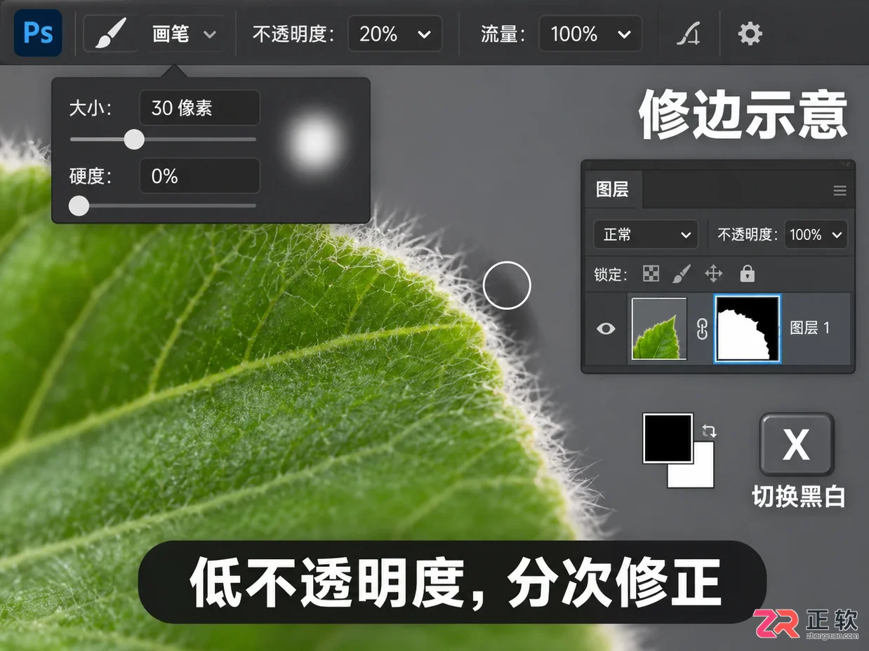 如何用Photoshop图层蒙版精细调整抠图效果
