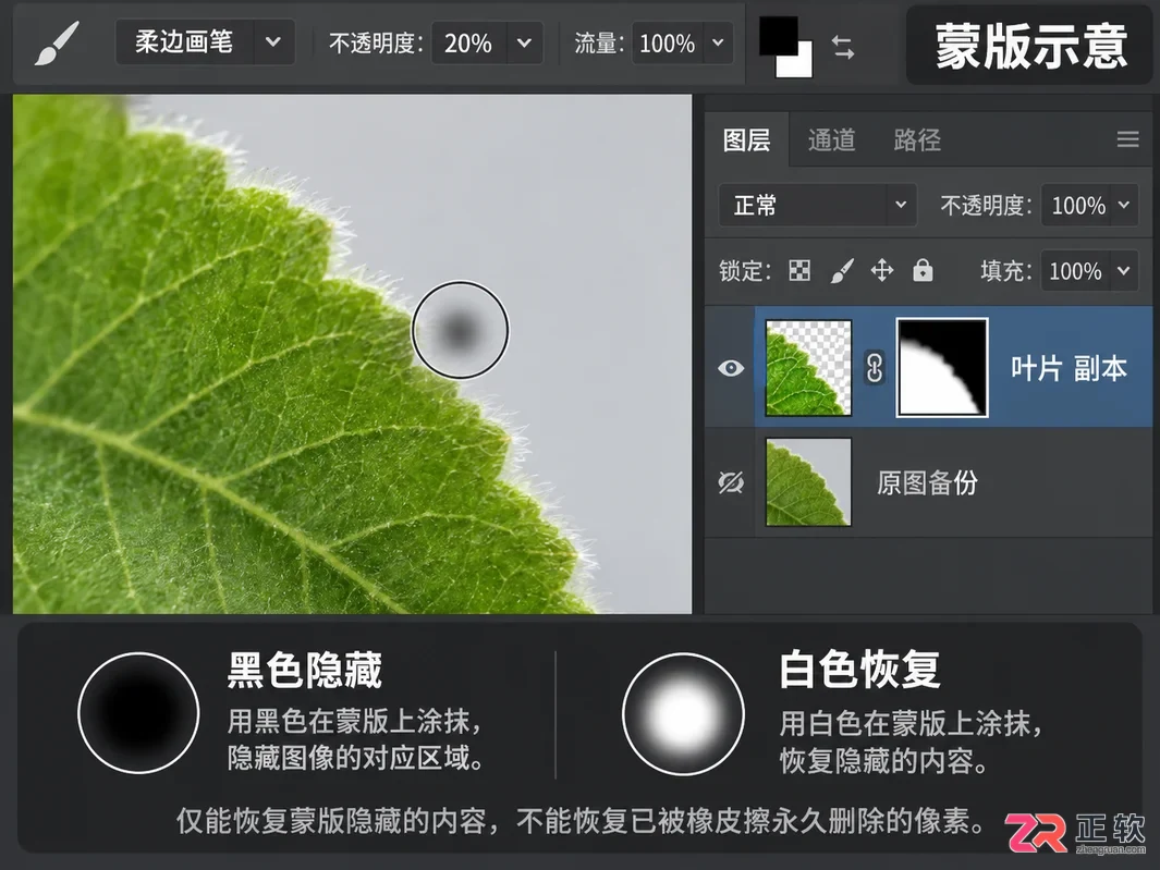 如何用Photoshop橡皮擦工具精修抠图边缘