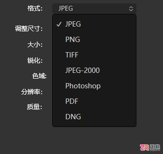 Luminar Neo自定义工作区设置与导出参数详解