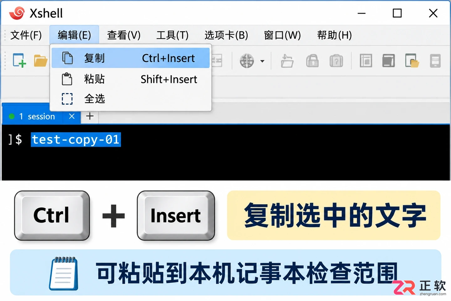 xshell怎么复制粘贴 快捷操作设置