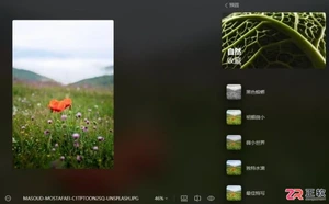 Luminar Neo好用吗?AI修图与换头发教程详解