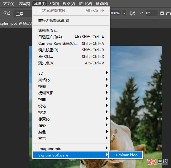 Luminar Neo撤销操作与Photoshop联动修图指南