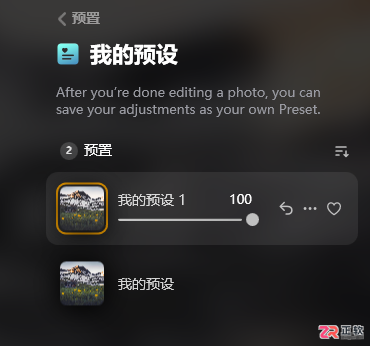 Luminar Neo自定义预设详解：参数保存与批量应用教程