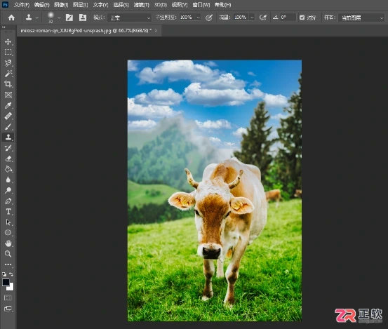 Luminar Neo撤销操作与Photoshop联动修图指南