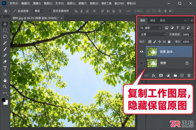 Photoshop抠树叶这类细碎物体有什么技巧