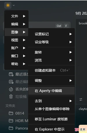 Luminar Neo批量修图操作指南：相册管理与预设应用技巧