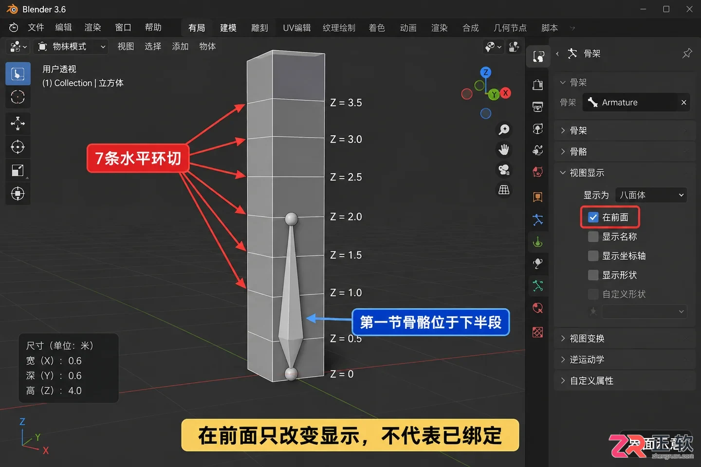 blender骨架怎么用新手入门操作教程