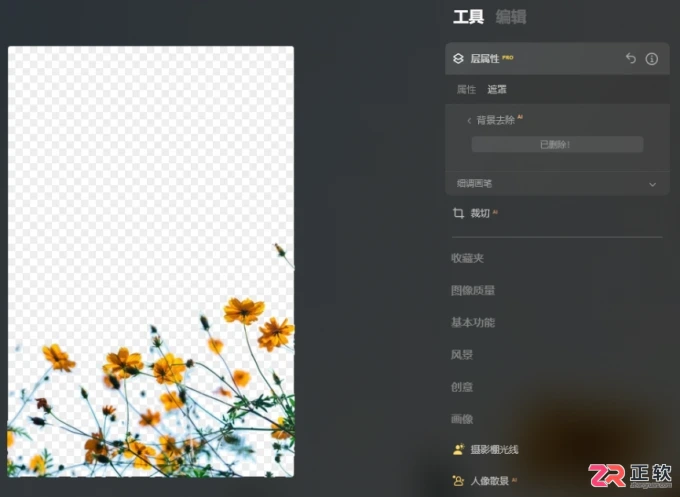 Luminar Neo误删照片恢复方法与AI消除功能详解