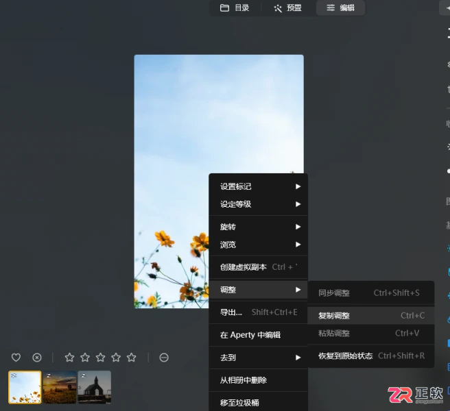 Luminar Neo批量修图操作指南:相册管理与预设应用技巧