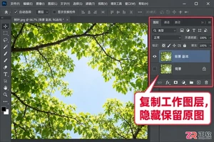 Photoshop抠树叶这类细碎物体有什么技巧