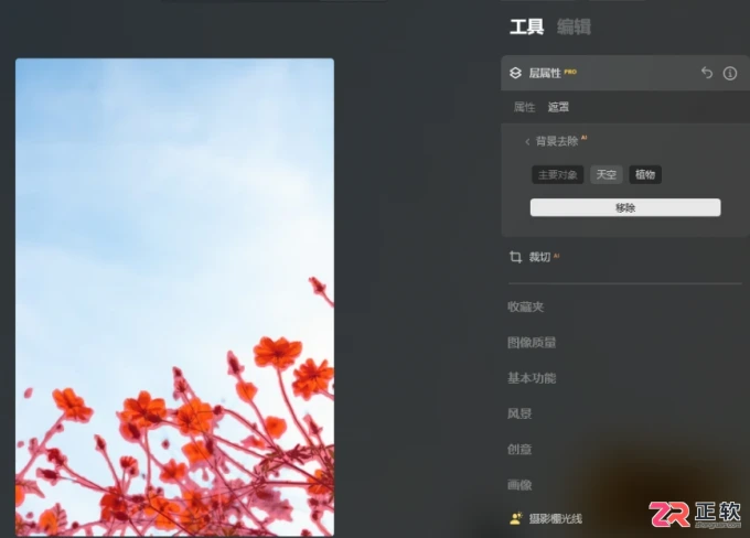 Luminar Neo误删照片恢复方法与AI消除功能详解