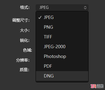 Luminar Neo批量修图与DNG导出指南