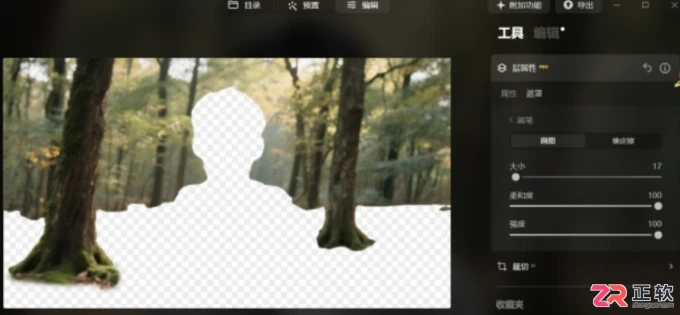Luminar Neo抠图教程：自动分离主体与边缘精修技巧