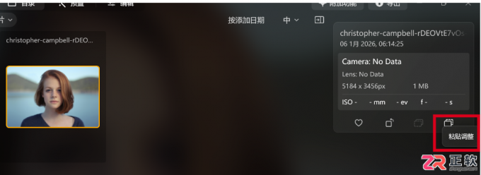 Luminar Neo人像磨皮参数调节与滤镜批量复制教程