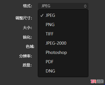 Luminar Neo批量导出配置与格式选择指南
