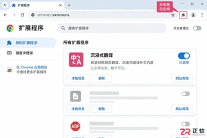 沉浸式翻译无法打开的原因及解决方法