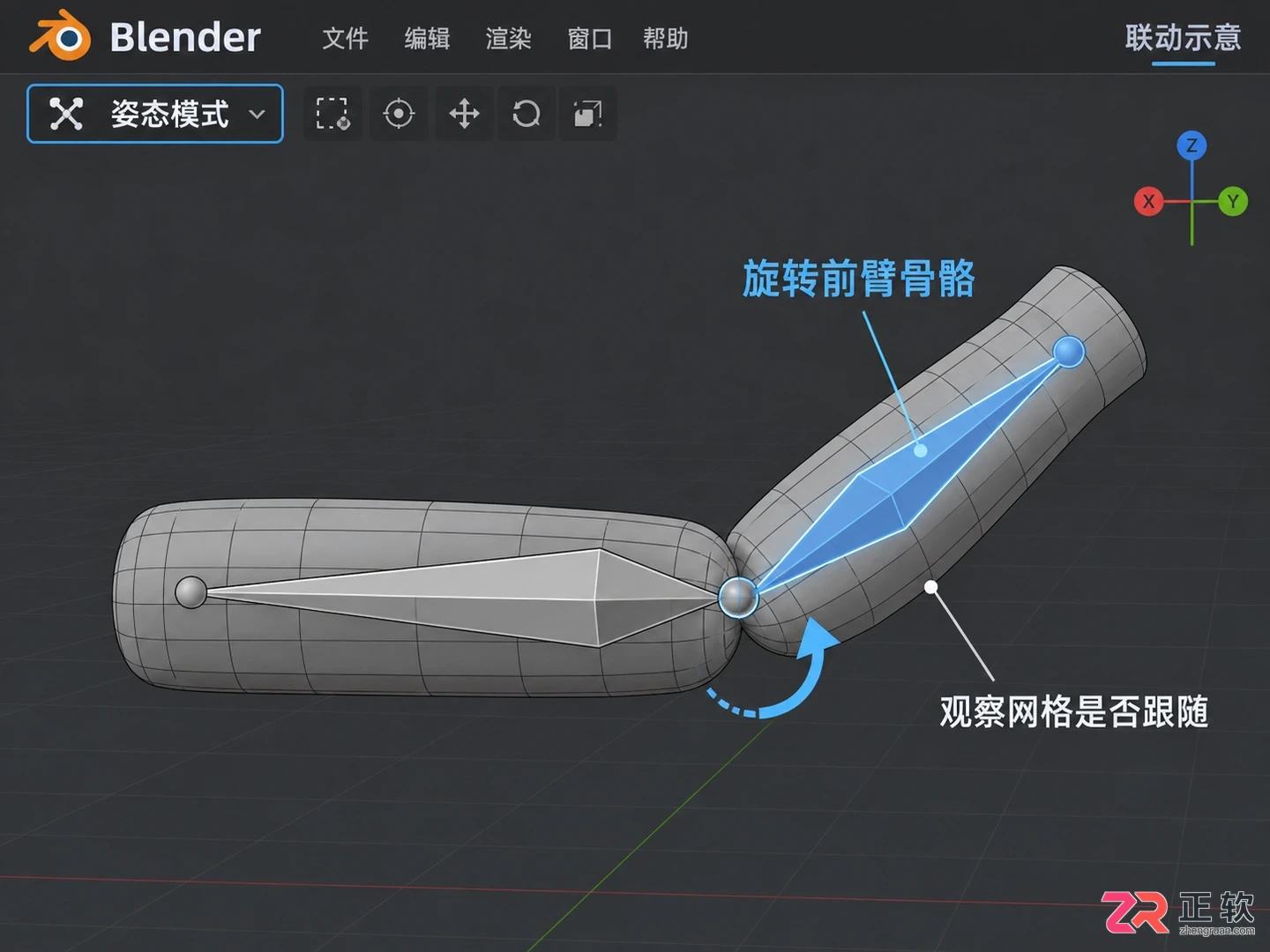 blender权重是什么及其在骨骼绑定中的作用详解