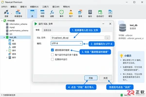 navicat导入数据库步骤详解及常见问题处理教程